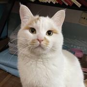 赵军673的个人资料头像