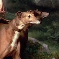 爱思考的古野山人头像