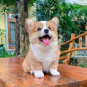 卢慢慢头像