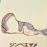 啊哈哈哈哈688头像