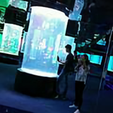 CJ燕子头像