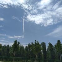 院子里的石榴树头像