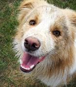 开开123的个人资料头像