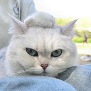 骄阳似火733的个人资料头像