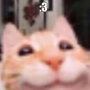 Shadow10260530的个人资料头像