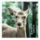 在的个人资料头像