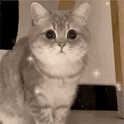 三年时间的个人资料头像