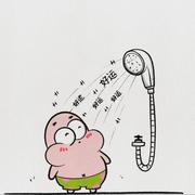 一只会飞滴神猪的个人资料头像