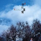 诗情画意都有风头像