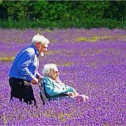 zy376的个人资料头像