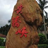 真诚菠萝dIq头像