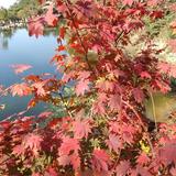 难得糊涂0123456789头像