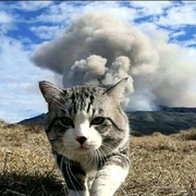 风语wind的个人资料头像