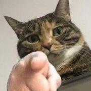 649683137的个人资料头像