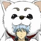 saberccc的个人资料头像