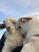 EventBuss的个人资料头像