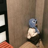用户6802429238173头像