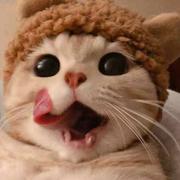 用户1979336079480的个人资料头像