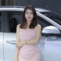 皮皮猫选车头像