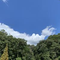 小强已成人头像