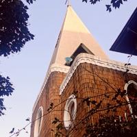 鲨鱼爱笑啦头像