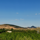 用户990290060939头像