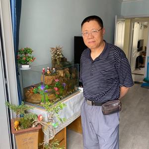 优雅西柚lv头像
