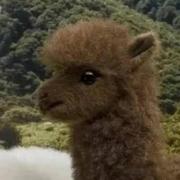 胖胖906的个人资料头像