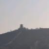 成熟柳叶z头像