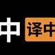 中译中练习生头像
