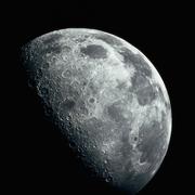 nop的个人资料头像