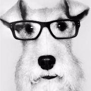 Justin_L0ST的个人资料头像