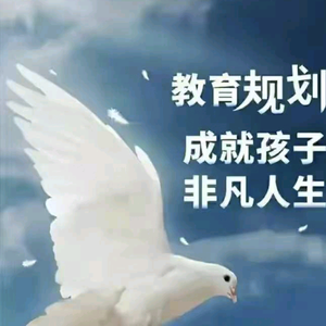 中高考升学与职业规划头像