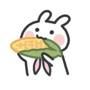 Fairy559的个人资料头像