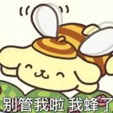 锦呈浮光头像