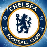 斯坦福桥的那一抹蓝头像