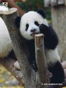 用户4721802538140的个人资料头像