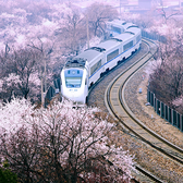 进步伊春1a5头像
