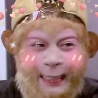猴子请来的d比头像