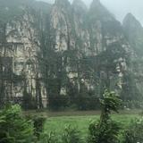 幽默自强不息菠萝4G头像