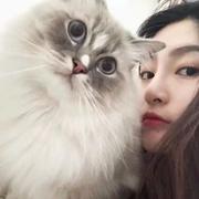 咩咩鸭的个人资料头像