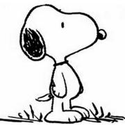 小白node的个人资料头像