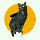 煌的个人资料头像