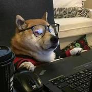 用户5061738813072的个人资料头像