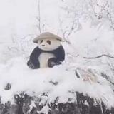 hulatoto头像
