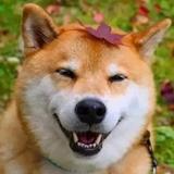 蒙面焊将头像