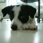 马军1314的个人资料头像