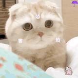 囨㝶，扐㖞头像