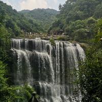 用户7309824325011头像