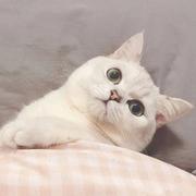 Anyway25的个人资料头像